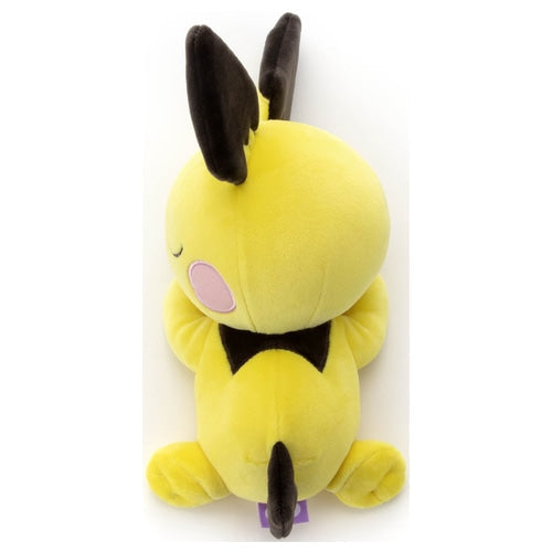 Pichu (Sleeping)-3