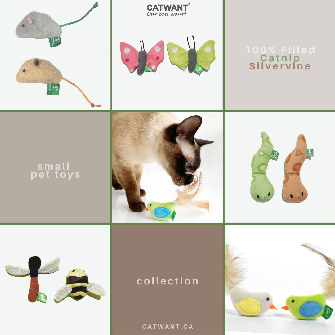 Catnip/Silvervine Small Pet Toys-1