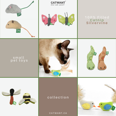 Catnip/Silvervine Small Pet Toys-1