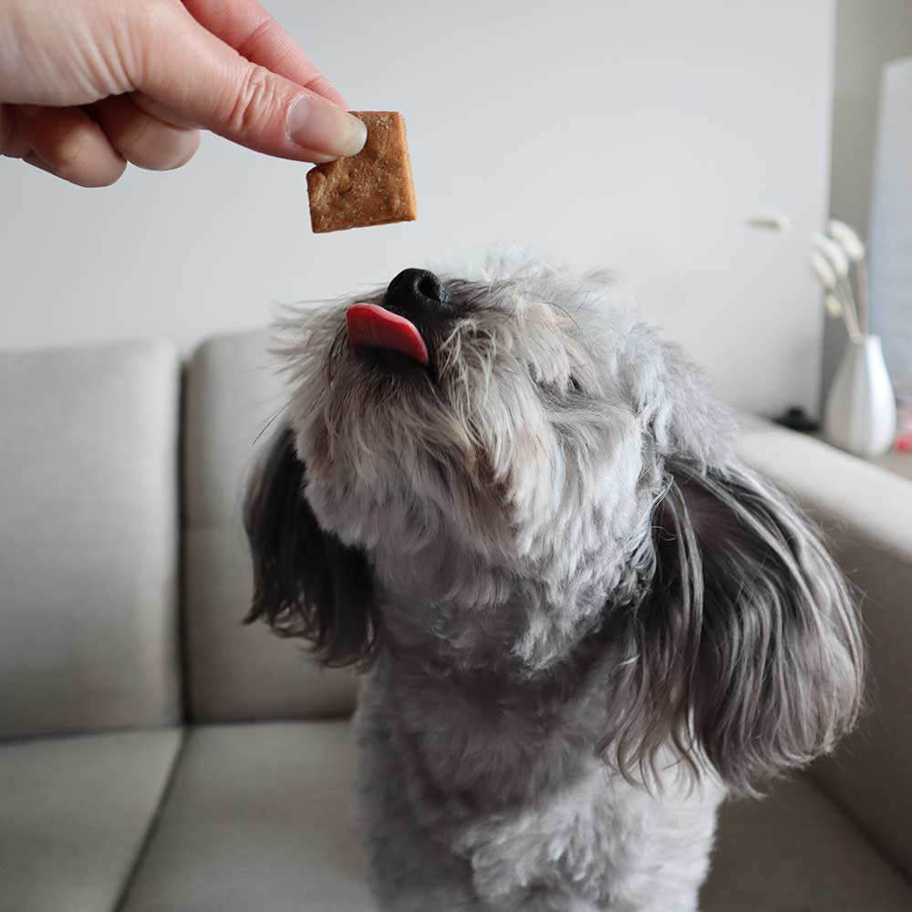 Soft Natural Peanut Training Treats 170g-5