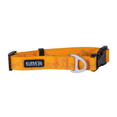 Soggy Dog Collar-1
