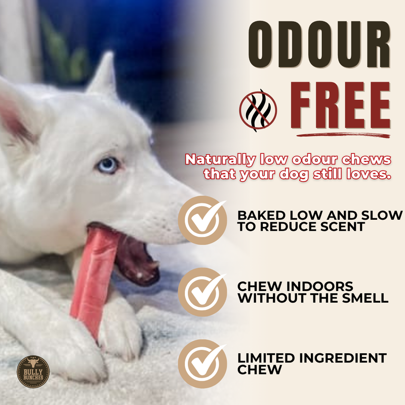 Strawberry Himalayan Yak Chew (MEDIUM)-5
