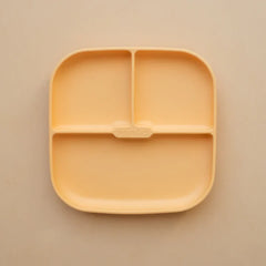 Silicone Suction Plate-6