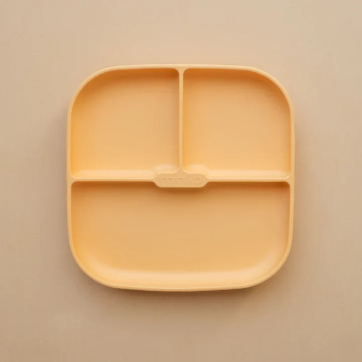 Silicone Suction Plate-6