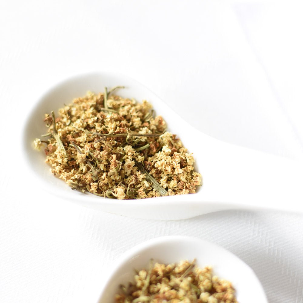 Black Elder | Dried Whole Flower (Sambucus nigra)-2