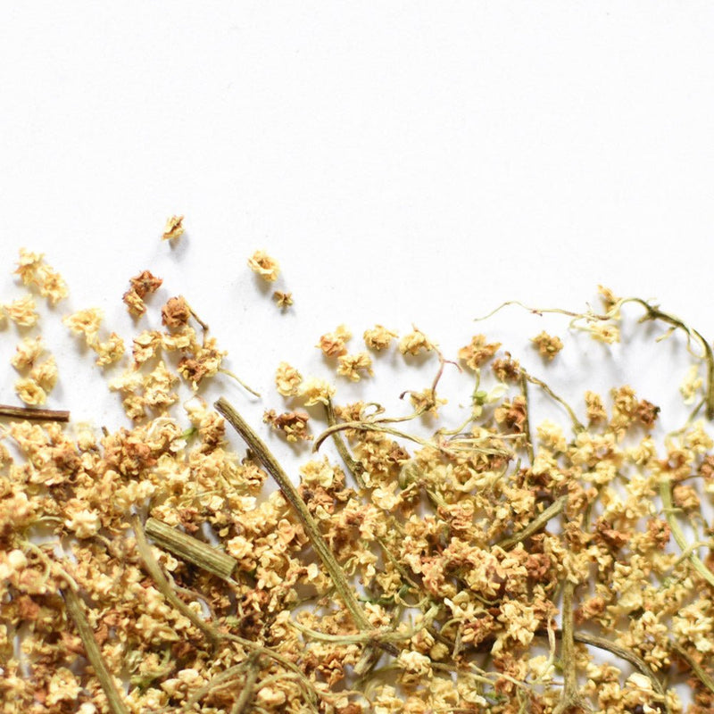 Black Elder | Dried Whole Flower (Sambucus nigra)-1