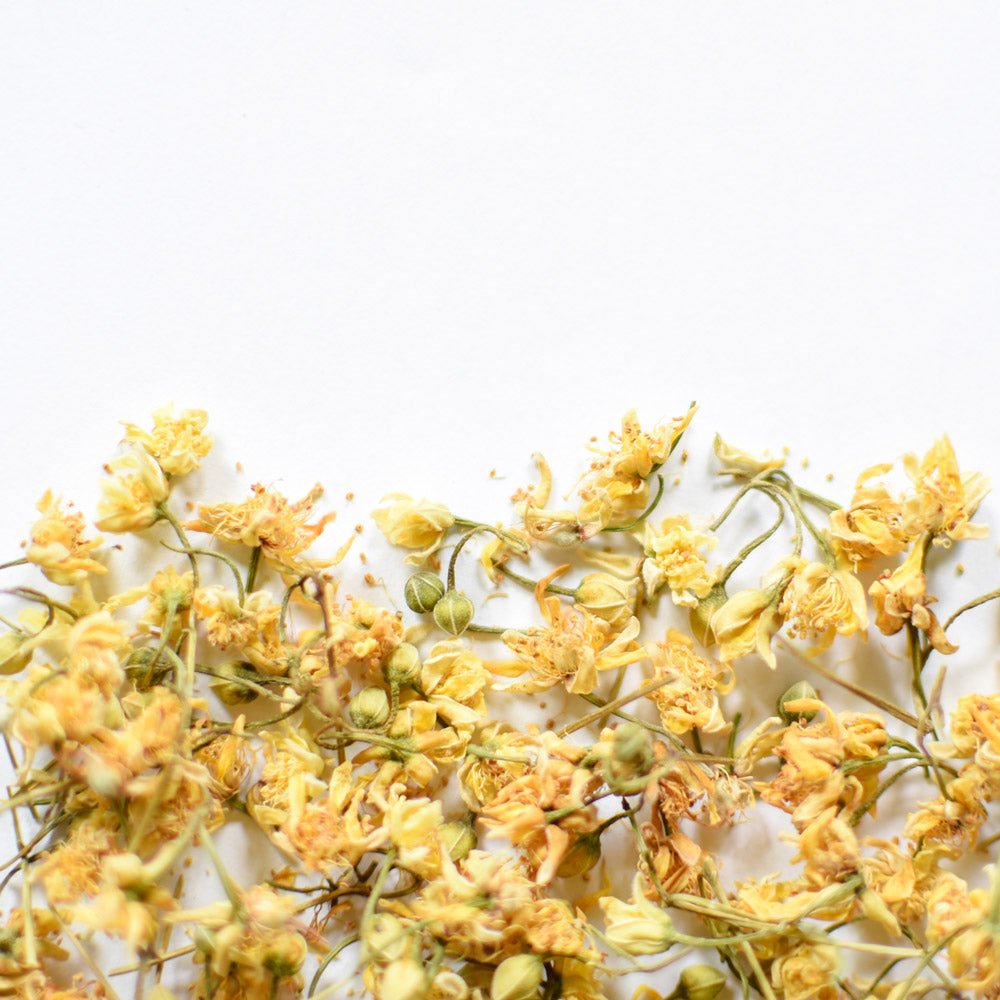 Linden | Dried Whole Flower (Tilia americana)