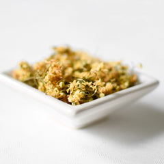 Linden | Dried Whole Flower (Tilia americana)-2