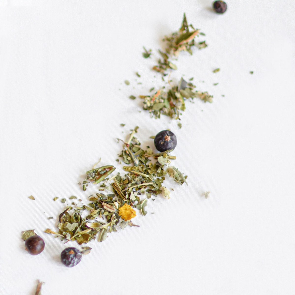 Loose Leaf Herbal Tea - Sweet Gale & Echinacea-3