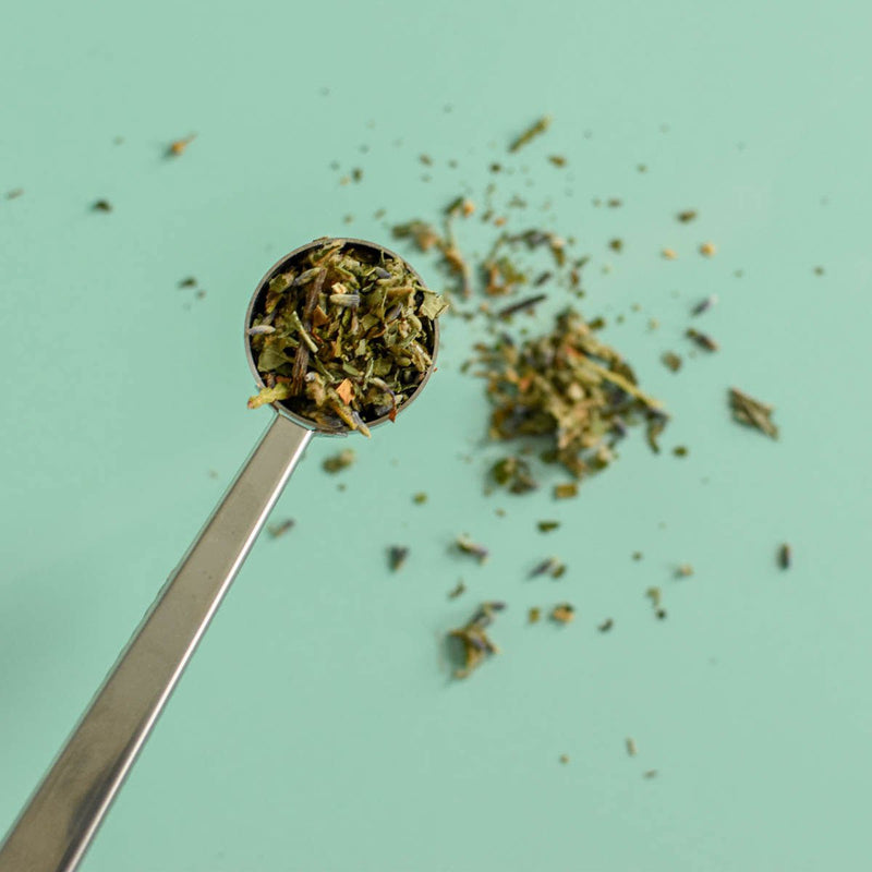 Loose Leaf Herbal Tea - Eastern White Cedar & Lavender-2