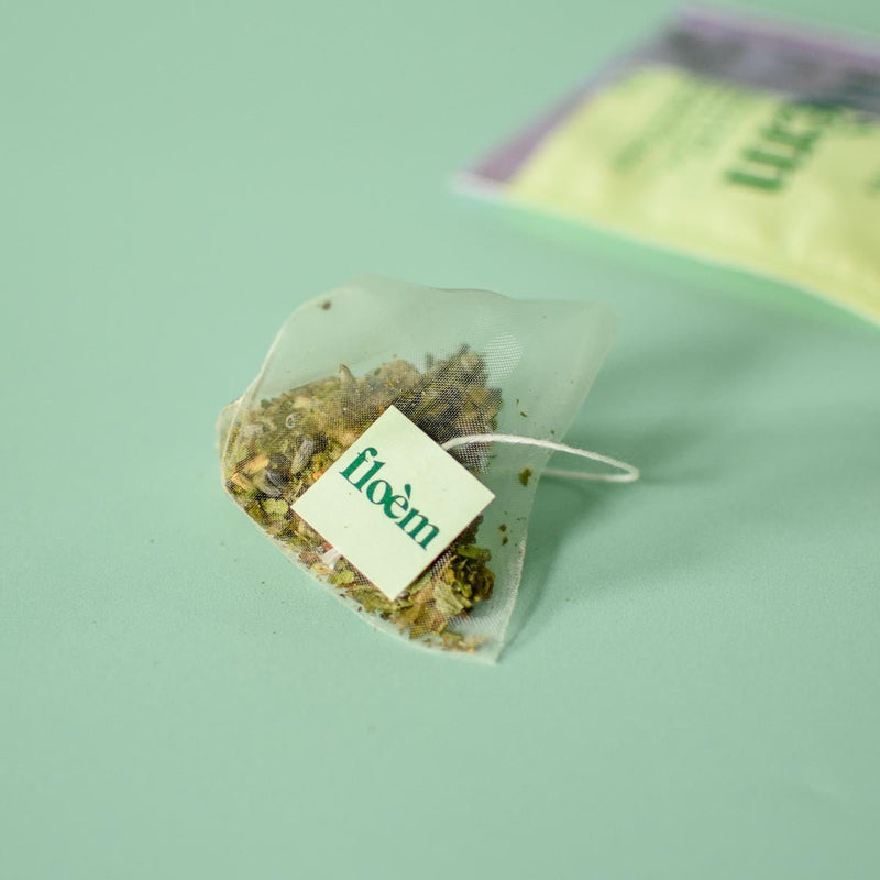 Single Herbal Tea Bag - Eastern White Cedar & Lavender-3