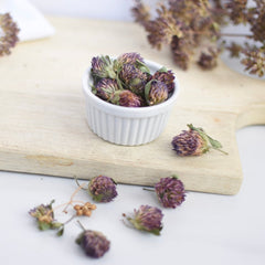 Red Clover | Dried Whole Flower (Trifolium pratense)-1