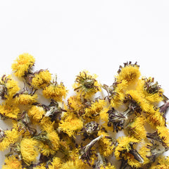 Coltsfoot | Dried Whole Flower (Tussilago farfara)-1