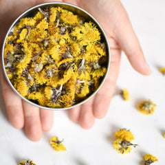 Coltsfoot | Dried Whole Flower (Tussilago farfara)-3