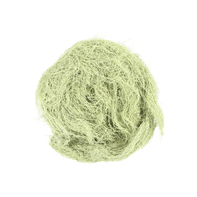 Usnea Barbarata (Old Man’s Beard)-3
