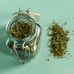 Goldenrod | Dried Flowering Tops (Solidago canadensis)-2