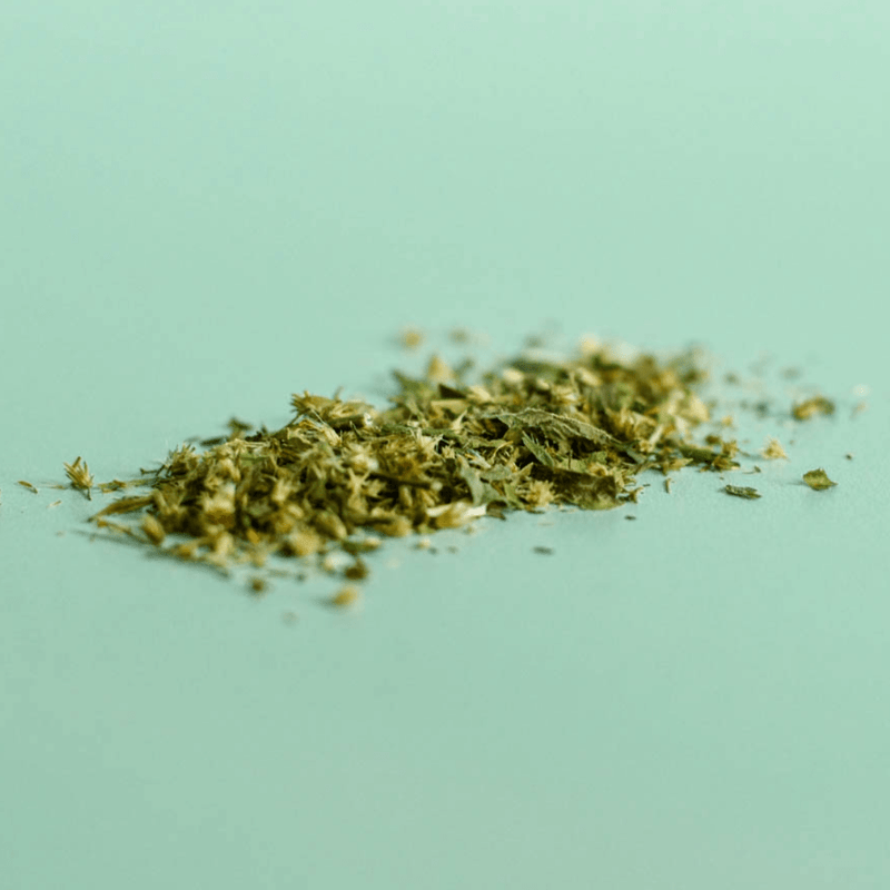 Goldenrod | Dried Flowering Tops (Solidago canadensis)-1