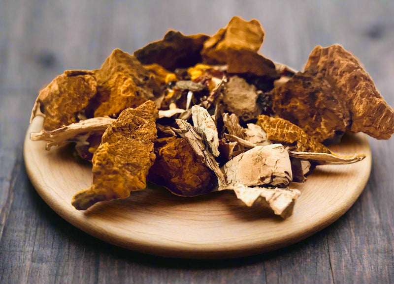 Warm Earth Chaga Turmeric Tea-2