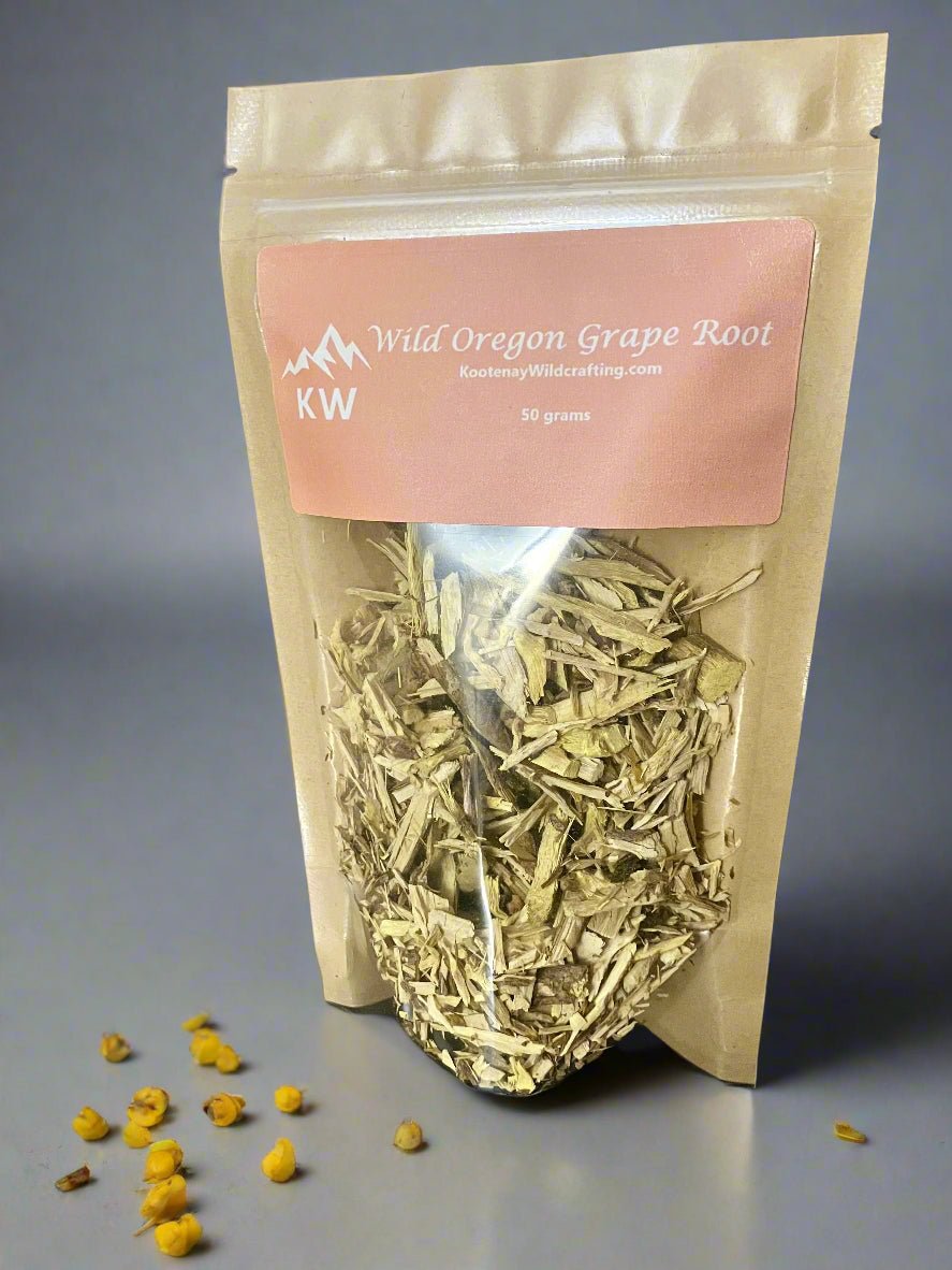 Wild Oregon Grape Root-2