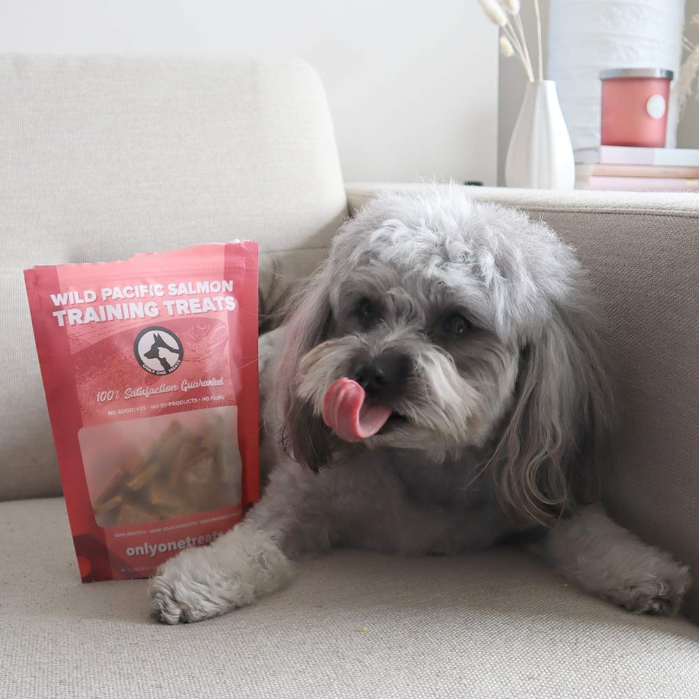 Wild Pacific Salmon Training Treats 170g-5