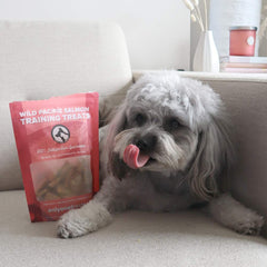 Wild Pacific Salmon Training Treats 170g-5
