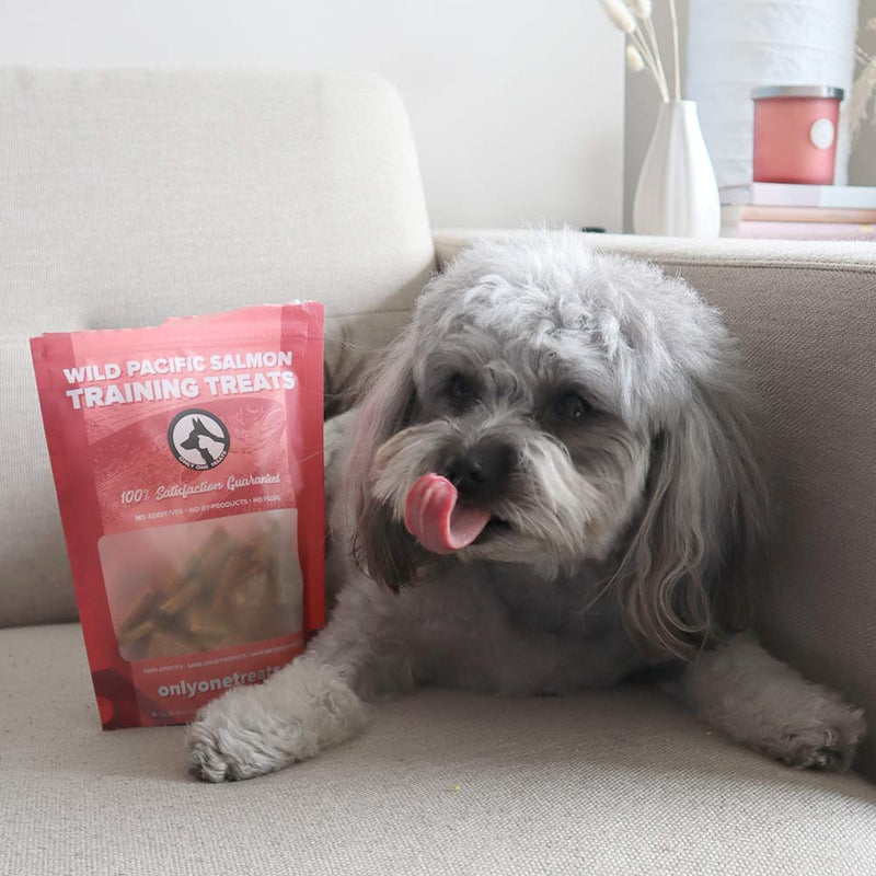 Wild Pacific Salmon Training Treats 170g-5