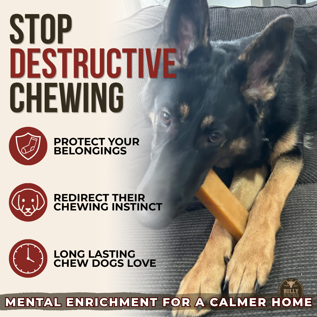Himalayan Yak Chew (EXTRA LARGE)-7