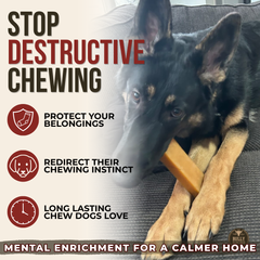 Himalayan Yak Chew (EXTRA LARGE)-7