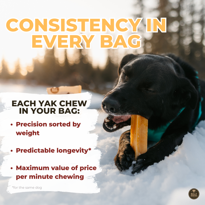 Himalayan Yak Chew (MEGA)-8