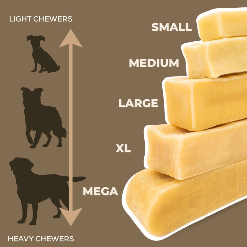 Strawberry Himalayan Yak Chew (MEDIUM)-4